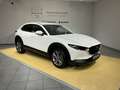 Mazda CX-30 EXCLUSIVE-LINE*Bose*Lenkradheizung* Weiß - thumbnail 2