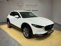 Mazda CX-30 EXCLUSIVE-LINE*Bose*Lenkradheizung* Weiß - thumbnail 19