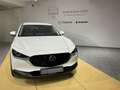 Mazda CX-30 EXCLUSIVE-LINE*Bose*Lenkradheizung* Weiß - thumbnail 18