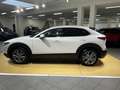 Mazda CX-30 EXCLUSIVE-LINE*Bose*Lenkradheizung* Weiß - thumbnail 6