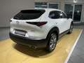 Mazda CX-30 EXCLUSIVE-LINE*Bose*Lenkradheizung* Weiß - thumbnail 4