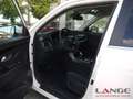 KGM Korando 1.5 T-GDi Nomad Automatik Navi SHZ Temp Tel.-Vorb. Fehér - thumbnail 9