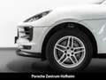 Porsche Macan S Erstbesitz LED PDLS+ Spurhalteassistent Bianco - thumbnail 6