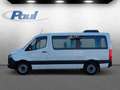Mercedes-Benz Sprinter 317 CDI Tourer Dachkli+Sthzg+AHK+9G Weiß - thumbnail 4