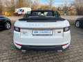 Land Rover Range Rover Evoque Cabriolet SE Dynamic White - thumbnail 5