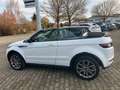 Land Rover Range Rover Evoque Cabriolet SE Dynamic White - thumbnail 7