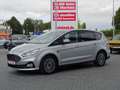 Ford S-Max 2.0 EcoBlue Trend Navi Kamera Totwinkel Argent - thumbnail 2