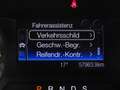 Ford S-Max 2.0 EcoBlue Trend Navi Kamera Totwinkel Argent - thumbnail 24