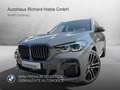 BMW X5 xDrive40d Gris - thumbnail 1