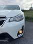 Subaru XV 2.0 Executive CVT Lineartronic Blanco - thumbnail 32