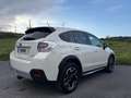 Subaru XV 2.0 Executive CVT Lineartronic Blanco - thumbnail 8