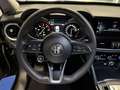 Alfa Romeo Stelvio 2.2 t Q4 190cv auto my19 PELLE TOTALE - thumbnail 13
