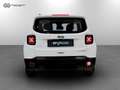 Jeep Renegade 1.0 T3 Limited Weiß - thumbnail 5