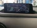 Mazda CX-30 G140 AT HOMURA Rückfahrkamera, Berganf. Blau - thumbnail 7