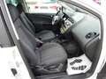 SEAT Altea XL Reference Copa 77.800 KM 1 Besitz von Pensionist Weiß - thumbnail 13