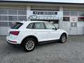Audi Q5 2,0 TDI quattro S-tronic Weiß - thumbnail 5