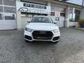Audi Q5 2,0 TDI quattro S-tronic Weiß - thumbnail 2