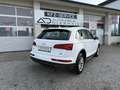 Audi Q5 2,0 TDI quattro S-tronic Weiß - thumbnail 7