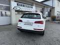 Audi Q5 2,0 TDI quattro S-tronic Weiß - thumbnail 8