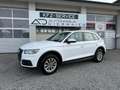 Audi Q5 2,0 TDI quattro S-tronic Weiß - thumbnail 4