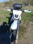 Honda XL 600 Bianco - thumbnail 4