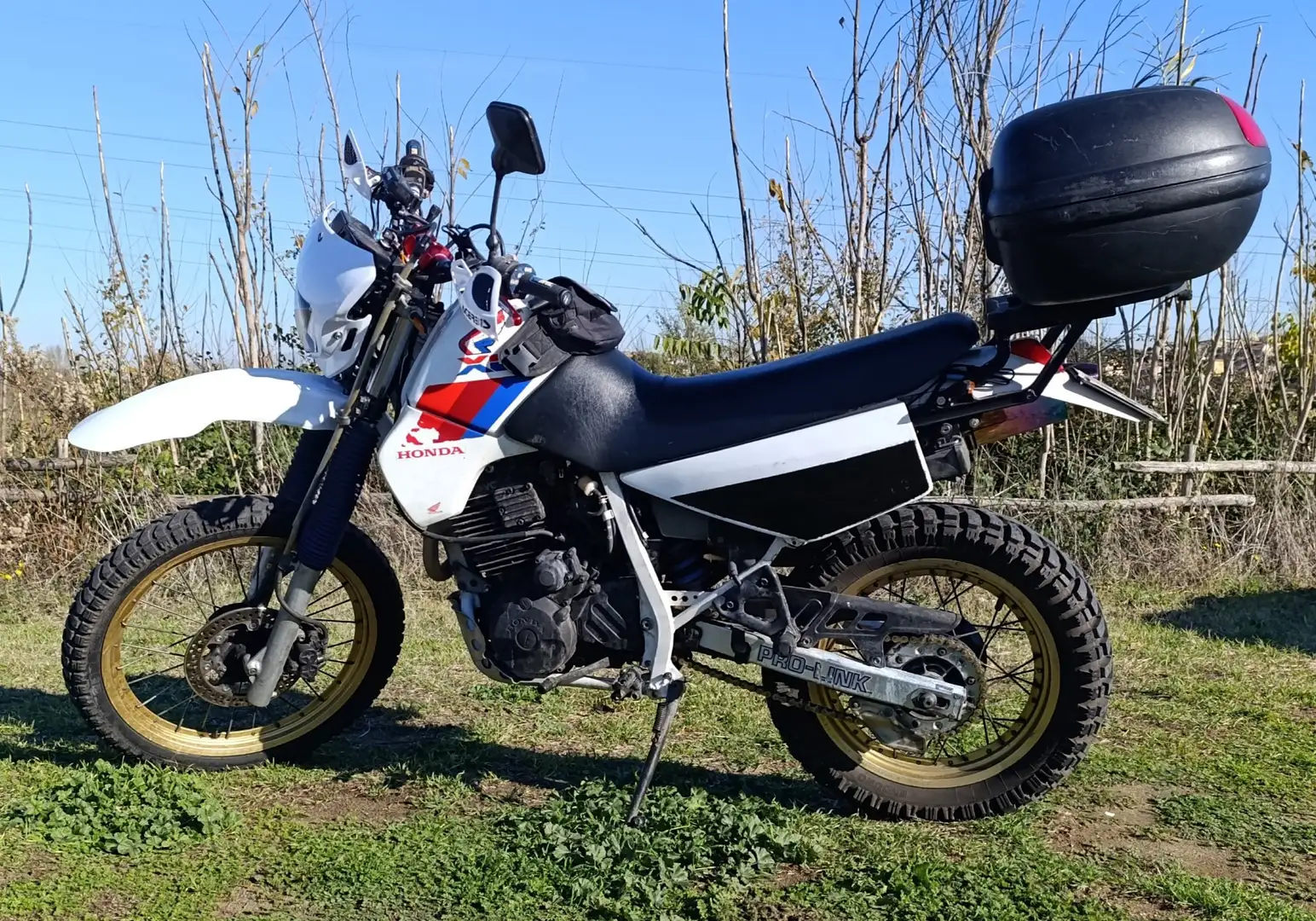 Honda XL 600 Bianco - 1