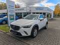 Mazda CX-3 Exclusive-Line Weiß - thumbnail 1