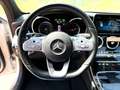 Mercedes-Benz C 300 Estate de 9G-Tronic Gris - thumbnail 27