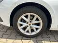SEAT Leon 1.0 eTSI DSG Style Weiß - thumbnail 10