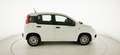 Fiat Panda 1.0 FireFly S&S Hybrid Blanc - thumbnail 8