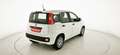 Fiat Panda 1.0 FireFly S&S Hybrid Blanc - thumbnail 7