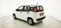Fiat Panda 1.0 FireFly S&S Hybrid Blanc - thumbnail 5