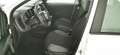 Fiat Panda 1.0 FireFly S&S Hybrid Blanc - thumbnail 14