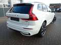 Volvo XC60 T6 Black Edition Dark MJ26! /360°/AHK/22" Weiß - thumbnail 7
