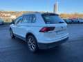 Volkswagen Tiguan 2.0 TDI 150ch Carat 4Motion DSG7 Weiß - thumbnail 6