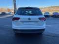 Volkswagen Tiguan 2.0 TDI 150ch Carat 4Motion DSG7 Weiß - thumbnail 7
