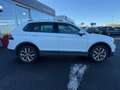 Volkswagen Tiguan 2.0 TDI 150ch Carat 4Motion DSG7 Weiß - thumbnail 9
