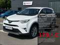 Toyota RAV 4 2.5 4x2 HybridTeam D NAVI+ACC+AHK Blanc - thumbnail 1