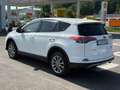 Toyota RAV 4 2.5 4x2 Hybrid TeamD NAVI+ACC+AHK Blanc - thumbnail 4