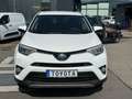 Toyota RAV 4 2.5 4x2 HybridTeam D NAVI+ACC+AHK Blanc - thumbnail 11