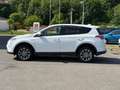 Toyota RAV 4 2.5 4x2 HybridTeam D NAVI+ACC+AHK Blanc - thumbnail 3