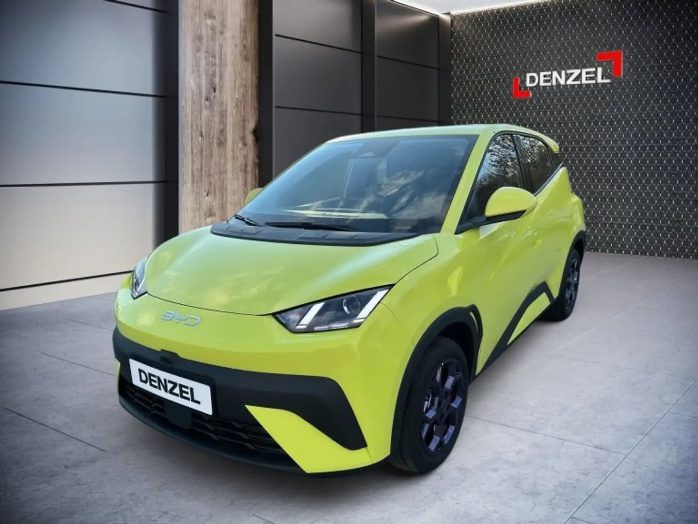 BYD Dolphin Surf Boost Grün - 2