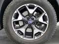 Subaru XV 1.6I EXECUTIVE 4WD 114CV 5P Albastru - thumbnail 11