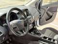 Ford Focus Focus Traveller Ecosport 1,6 Ecosport Weiß - thumbnail 6
