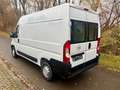 Opel Movano C  L2H2 3,5t Edition Klima Tempomat PDC Weiß - thumbnail 4