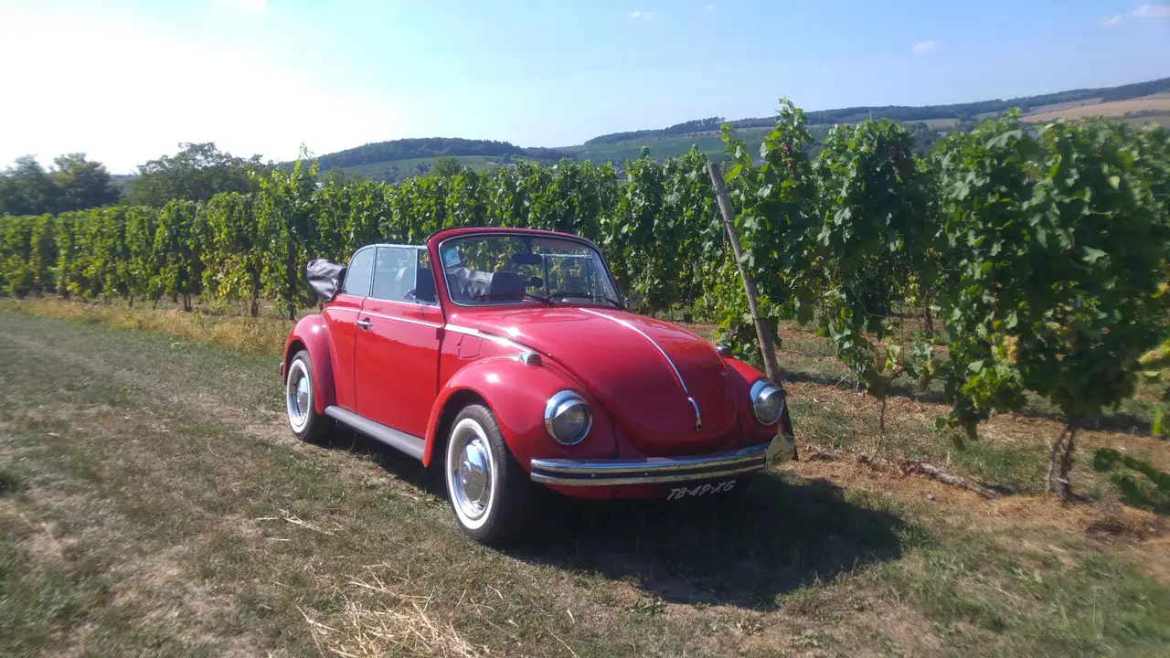 Volkswagen 1303, foto 9