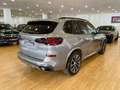 BMW X5 xDrive 30dA xLine M Sport Pro Gris - thumbnail 4