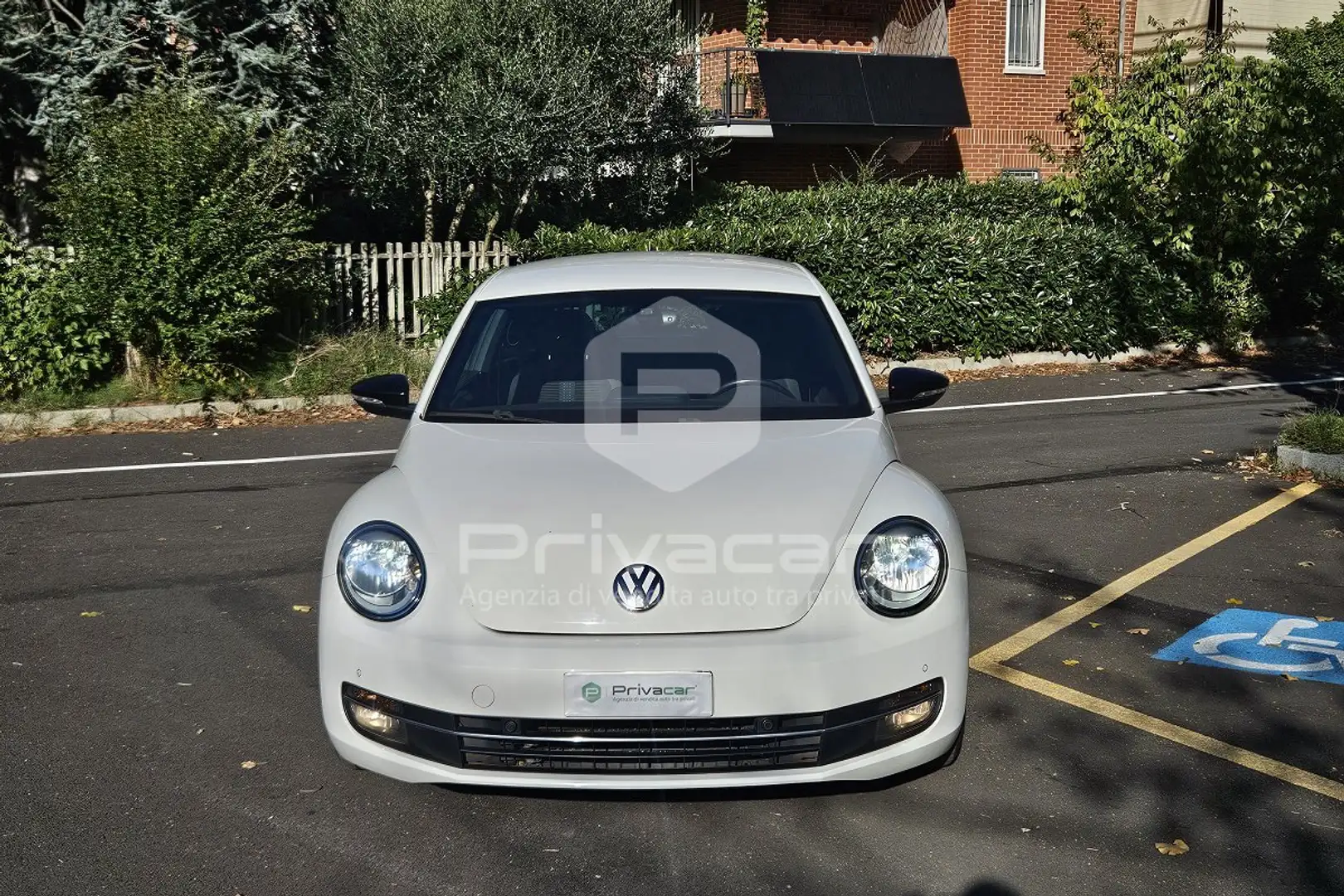 Volkswagen Maggiolino Maggiolino 1.4 TSI Sport Weiß - 2