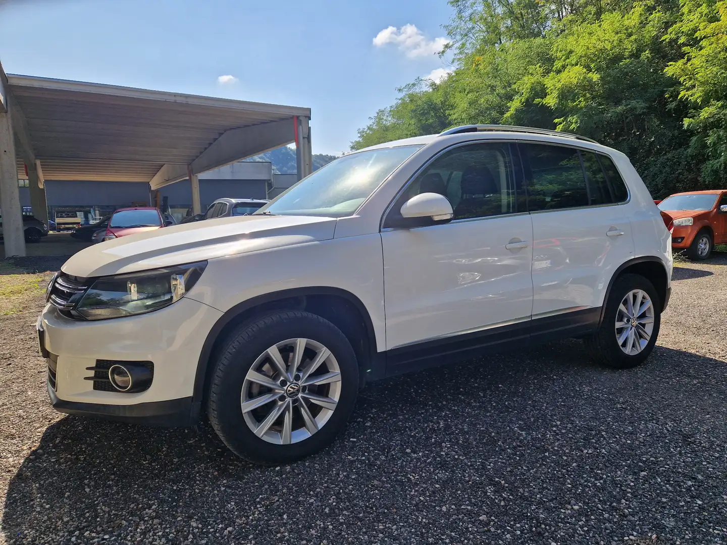 Volkswagen Tiguan Tiguan 2.0 tdi Track Bianco - 2