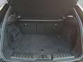 Land Rover Range Rover Evoque P250 AWD R-Dynamic SE Schwarz - thumbnail 13